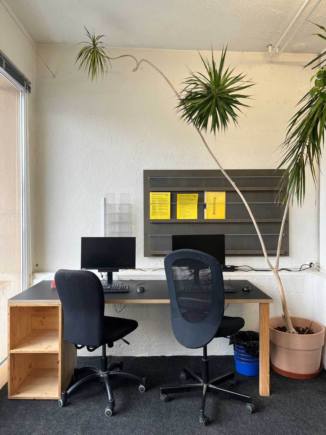 Bewerbungsbüro Wohlen